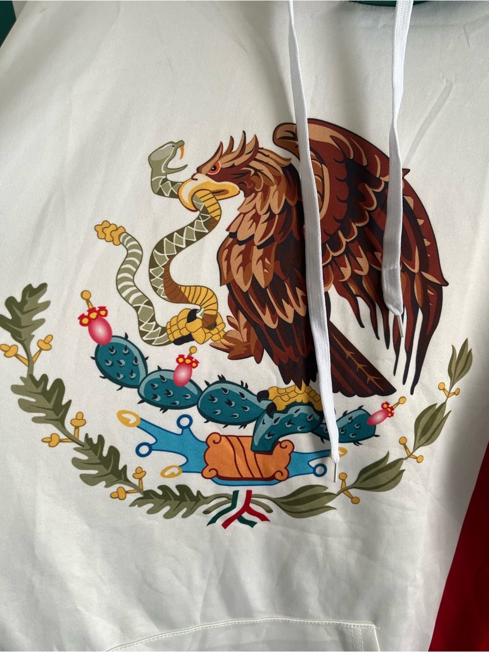 Mexico Flag Tricolor Pullover Hoodie - Green White Red - Picture 5 of 7